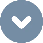 Chevron Circle Down SVG Icon